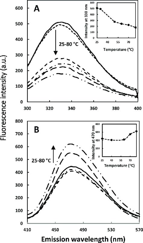 Intrinsic A And Extrinsic B Fluorescence Emission Intensity Of