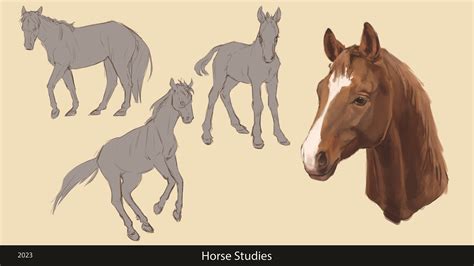 Artstation Horse Studies