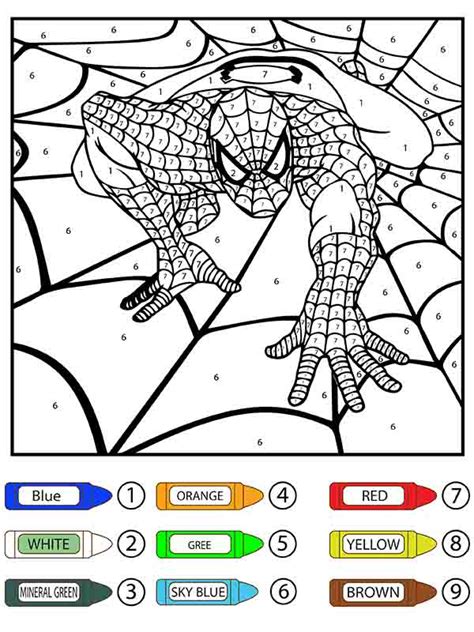 Spider Man Crawling On Web Color By Number Coloring Page Free