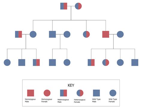 Family Tree Examples With Explanation at Judith Noel blog
