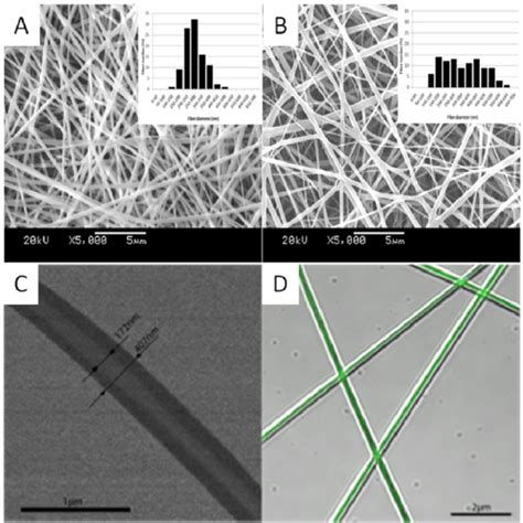 Sem Micrographs And Fiber Diameter Distributions Of Electrospun Blend