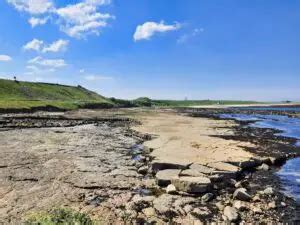 Torness Point Visitor Guide | East Lothian