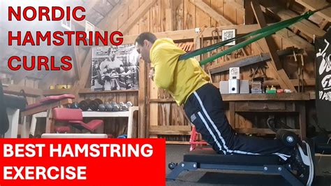 Nordic Hamstring Curl Workout With The Nordic Mini Bench Youtube