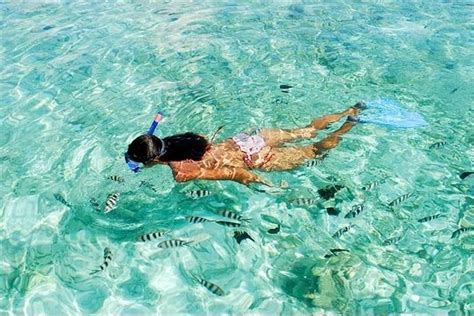 Snorkeling At Mahmya Island From Hurghada Tripadvisor