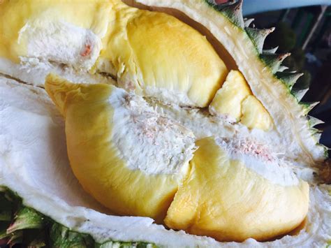 The Worlds Weirdest And Most Exotic Fruits Delishably