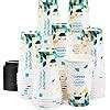 Amazon Rillbus 100 Set Disposable Coffee Cups With Lids 12 Oz BPA