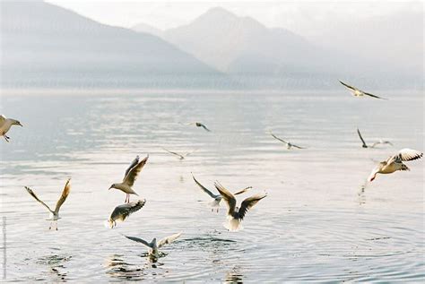 Breathtaking Views of Kotor Bay