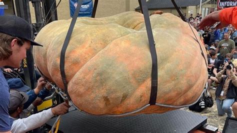 Oh my gourd, a hippo-sized pumpkin - DFA