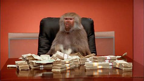 Monkey Money  Monkey Money Cash Discover Share S Artofit