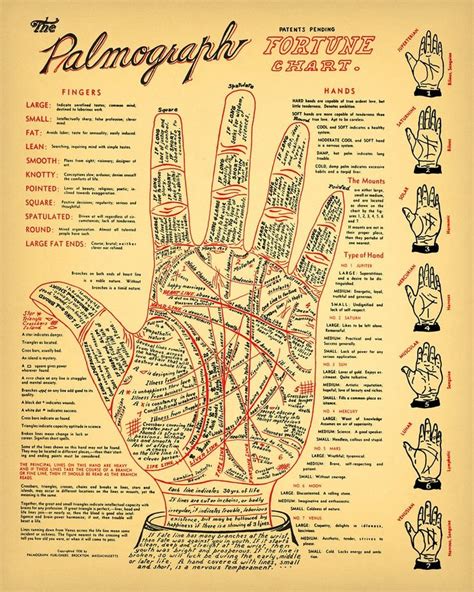 Vintage Palmistry Chart 5 Sizes Fortune Telling Cheiromancy Occult Palm