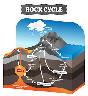 Rock Cycle Diagram | MooMooMath and Science