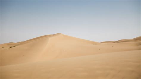 Arabian Desert Printable