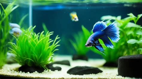 Top 10 Safe Betta Tank Mates For A Happy Aquarium