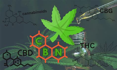 What Is Cbn And What Does It Do For You