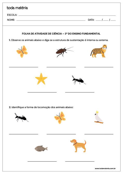 Ef03ci04 Atividades 3 Ano - 6 Folhas de Atividades de Ciências para o 3º ano do Ensino Fundamental ...