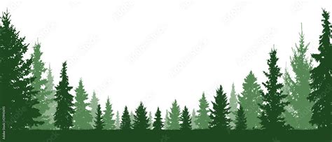 Forest Evergreen Coniferous Trees Silhouette Vector Background