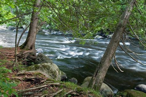 Wolf River Trail Photo, Wisconsin Trail Guide