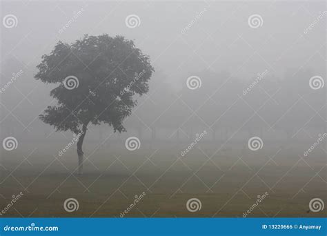 有雾的早晨 库存照片 图片 包括有 场面 横向 神仙 背包 场景 恐惧 烟雾 坦率 自治权 13220666