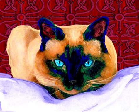 Siamese Cat Pictures and Art