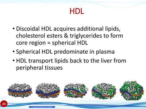 Lipids & Lipoproteins Part 1 Lecture ppt download