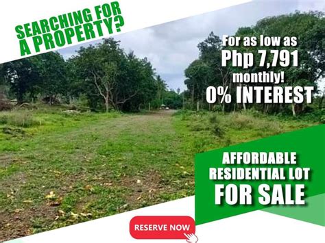 100 Sqm Residential Lot For Sale In Batangas City Batangas Lots