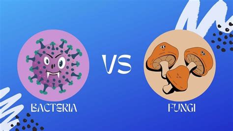 What Is The Difference Between Bacteria And Fungi?