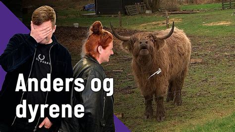 Anders Og Dyrene Fotovognen Tv Midtvest