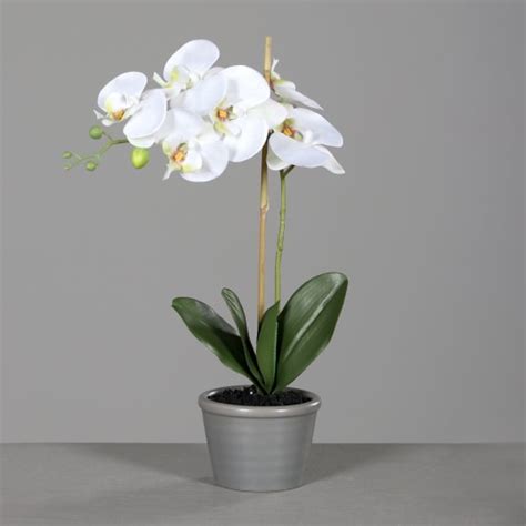 DPI Orchidée artificielle en pot céramique gris crème H 53 cm Gamm vert