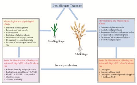 Agronomy Free Full Text Advances In Barley Breeding For Improving