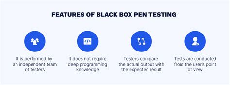 Black Box Penetration Testing Effectivesoft