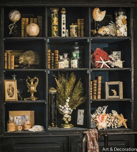 Le Cabinet De Curiosit S Manouedith Et Ses Passions Artofit