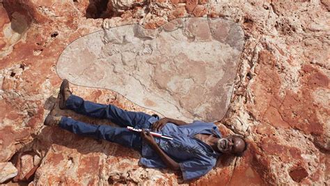 Worlds Biggest Dinosaur Footprint Found In Australias Jurassic Park