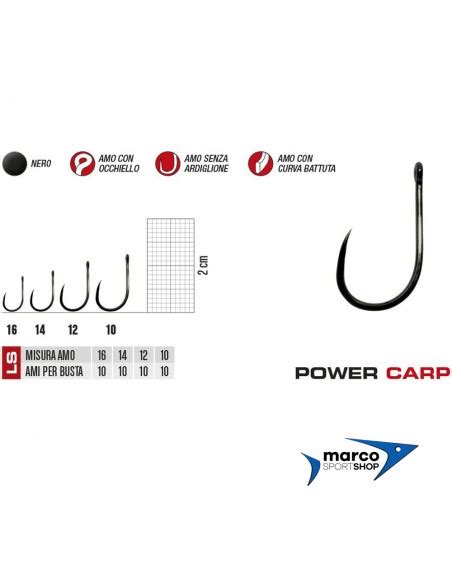 Gamakatsu Power Carp Barbless Misura 10