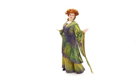 Hocus Pocus Winifred Sanderson Plus Size Costume Dress For Women