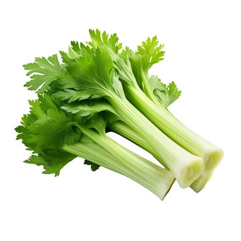 celery vegetable isolated on transparent background 44813521 PNG