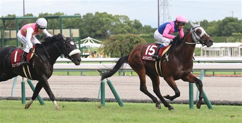 【神戸新聞杯】メイショウタバルが鮮やかな逃げ切り（競馬のおはなし） Yahooニュース