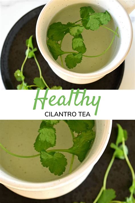 Cilantro Tea Easy And Refreshing Drink Hint Of Healthy Coriander