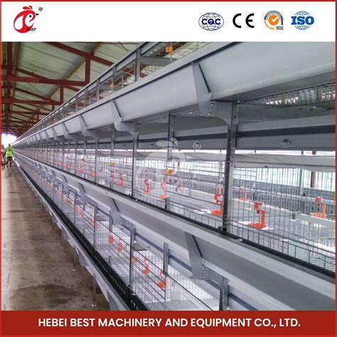 Bestchickencage H Frame Broiler Cages China Broiler Chicken Cage