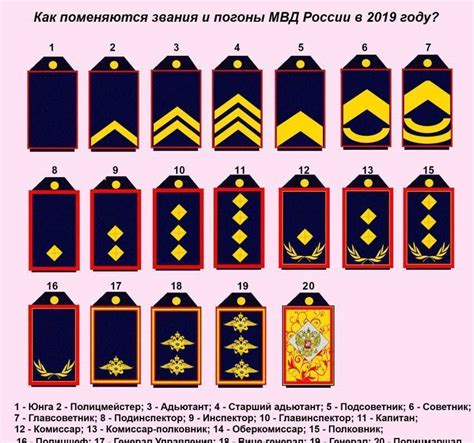Погоны полиции России: знаки отличия, звания, звёздочки, история ...
