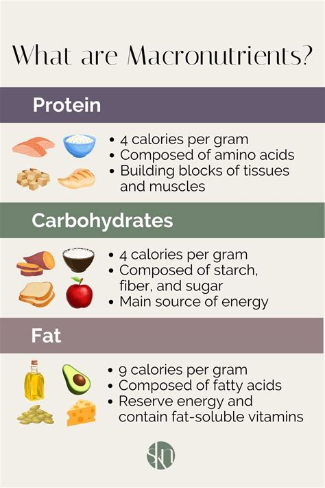 Macronutrients 101 The Beginner S Guide Stephanie Kay Nutrition