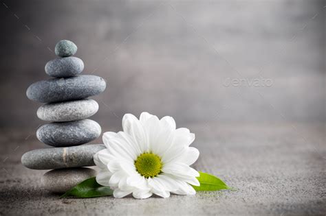 Wellness background. Stock Photo by GitaKulinica | PhotoDune