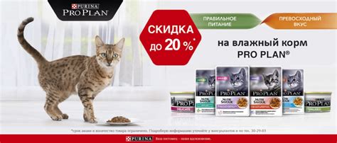 Планета ZOO | Товары для животных