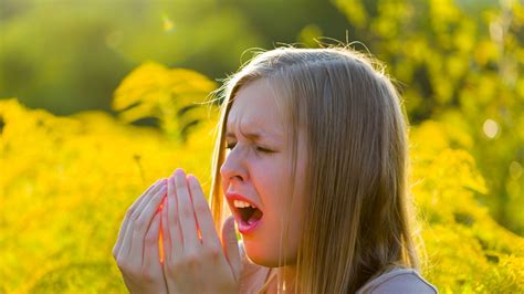 Hay Fever Sufferers Warned About Very High Pollen Level Uk News Sky News