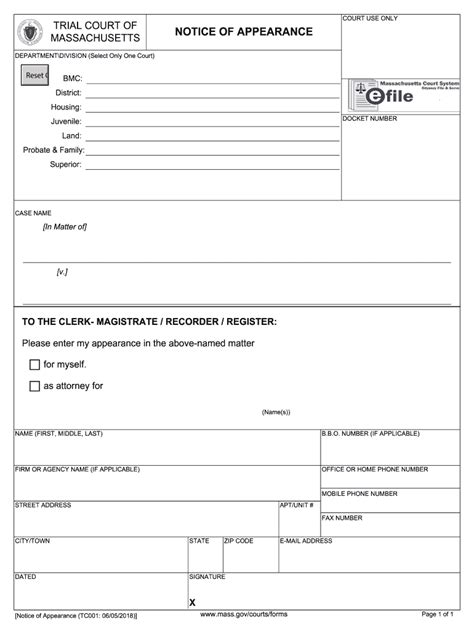 Massachusetts Probate Court Forms Estate - Fill Online, Printable ...