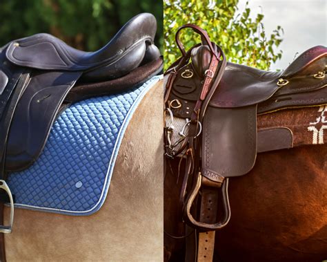 English Saddle Vs Western Saddle Helpful Horse Hints