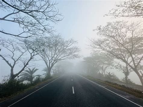 Empty Road Between Forest · Free Stock Photo