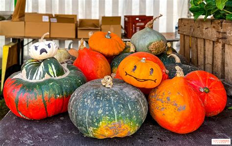 Halloween Hvor Kan Du Plukke Gr Skar I Paris Og Ile De France