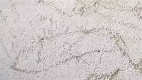 Pissing On My Bedroom Carpet Free Gay Pissed On Porn E XHamster