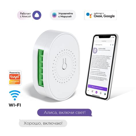 Умное реле с Wi-Fi + 433МГц, мониторинг потребления, Яндекс Алисой ...