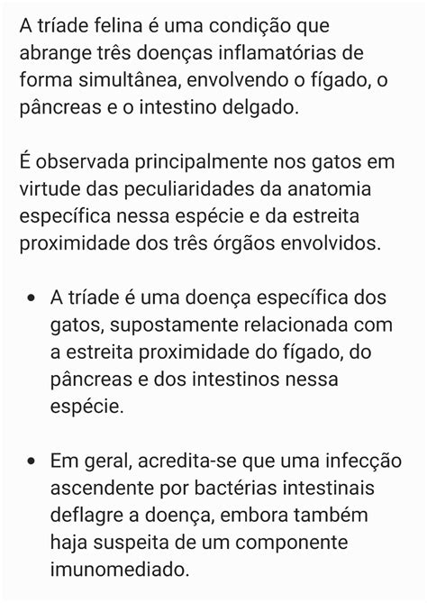 Triade Felina - Clínica Felina
